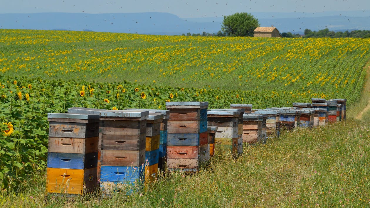 Evitare l’esposizione a sostanze inquinanti 