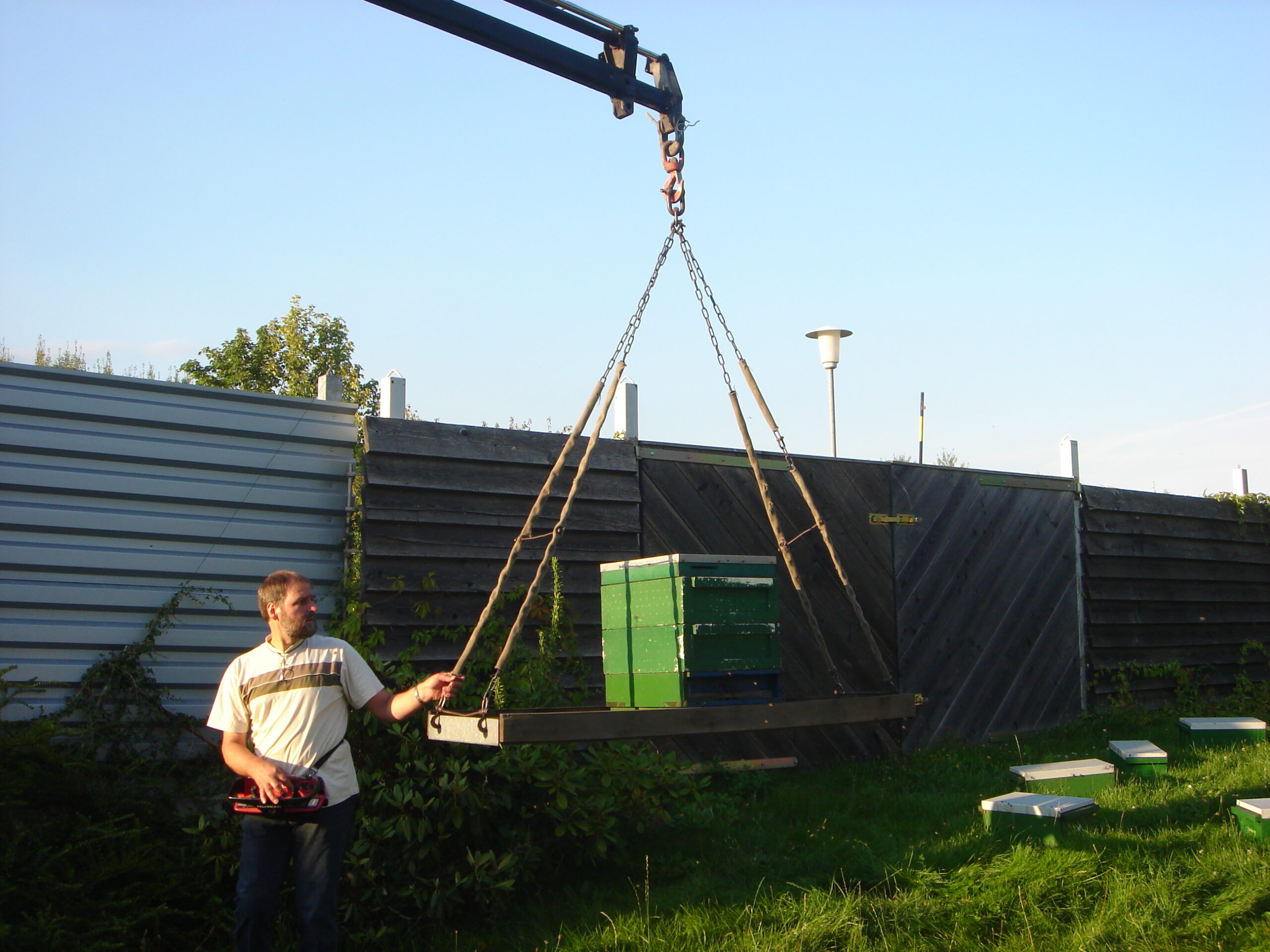 Flytning af bigårde