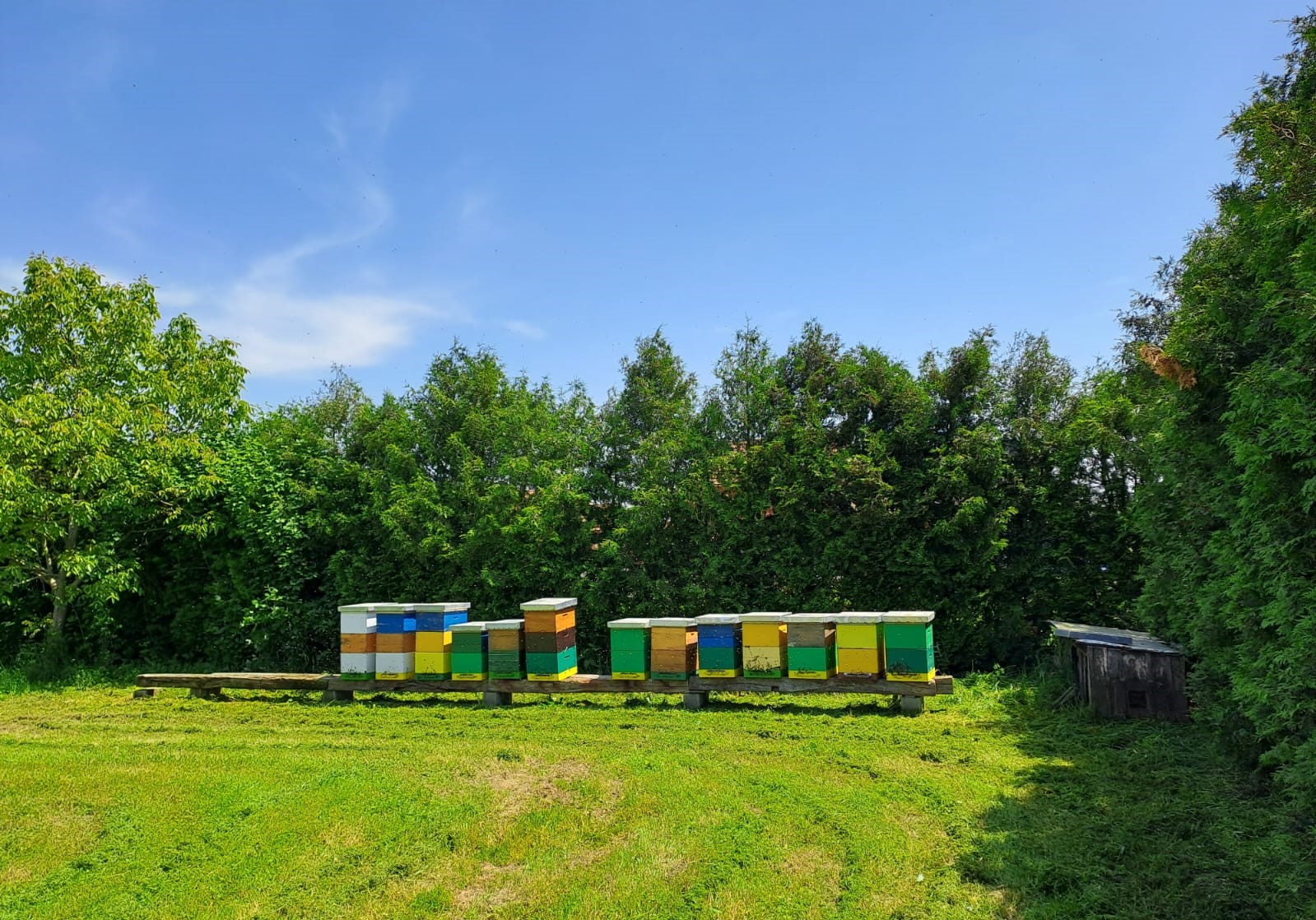 Izogibanje lokacij, ki so izpostavljene prekomerni vlagi in vetru