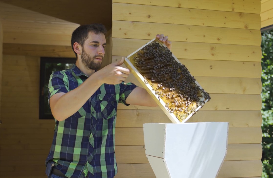 Ocena napadenosti čebel z varojami (Varroa destructor) med čebelarsko sezono