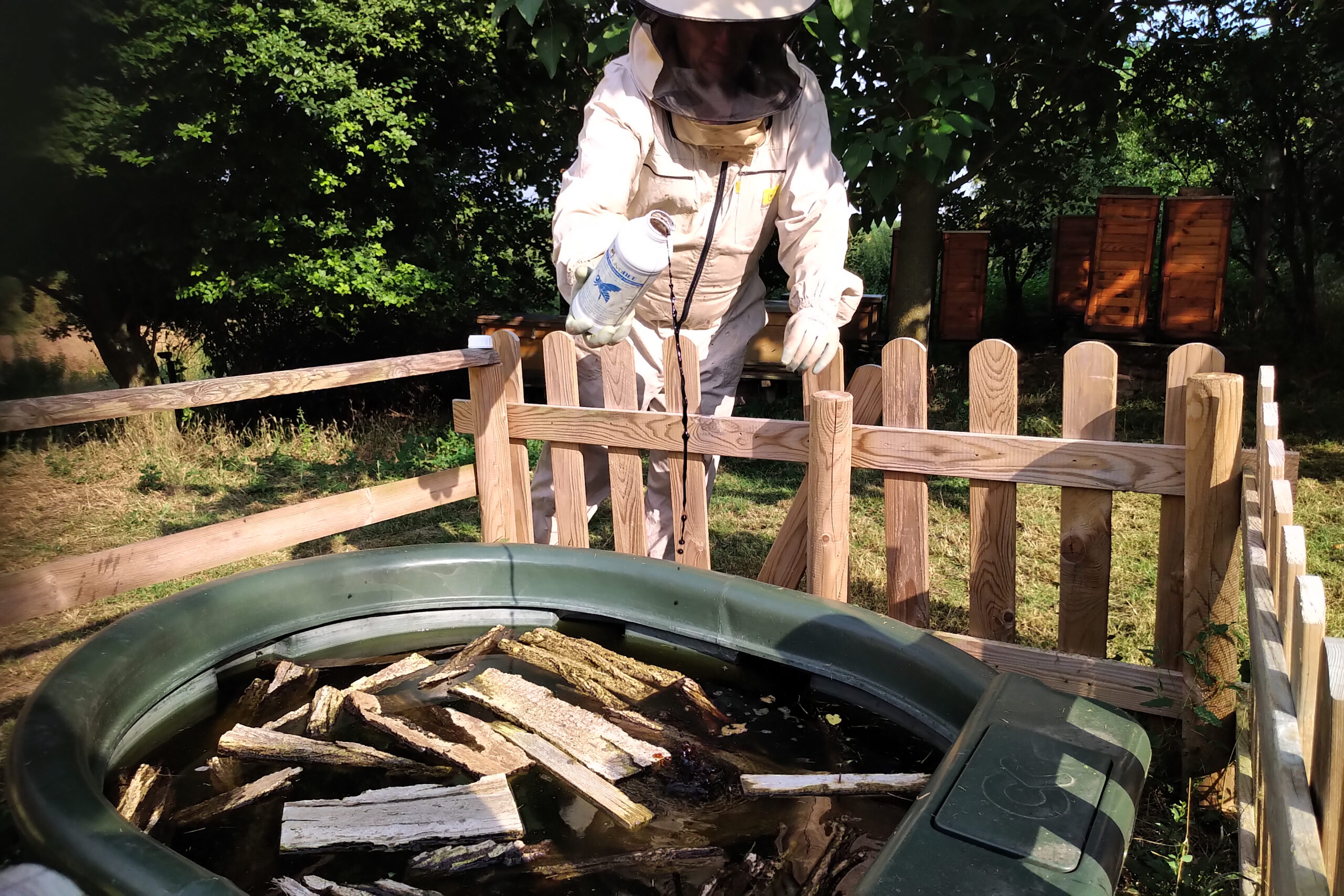 Megfelelő számú méhkaptár fenntartása a vízforrás és mézelő növények hozzáférhetőségéhez viszonyítottan