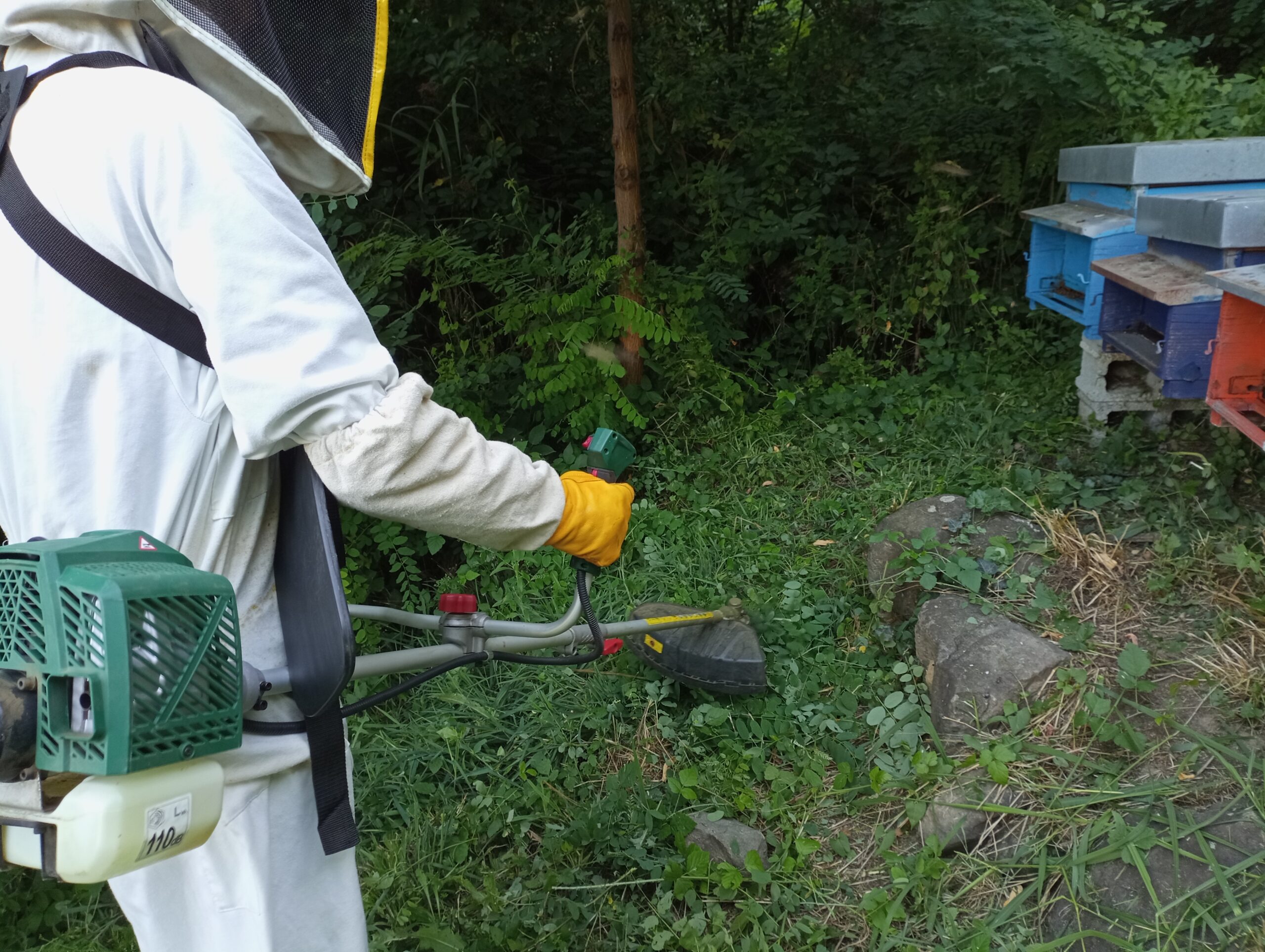 Αποφυγή εμποδίων για τις μέλισσες μπροστά στις κυψέλες
