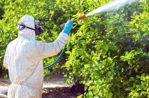 Evitar la exposición a los contaminantes