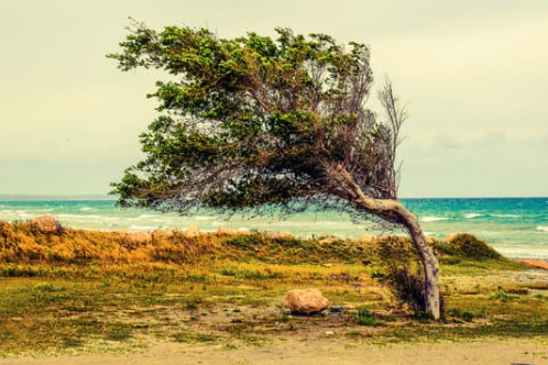 Evitar áreas con demasiado viento o humedad