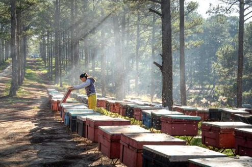 Asegurar la presencia de árboles (u otras barreras) que aseguren una barrera de protección