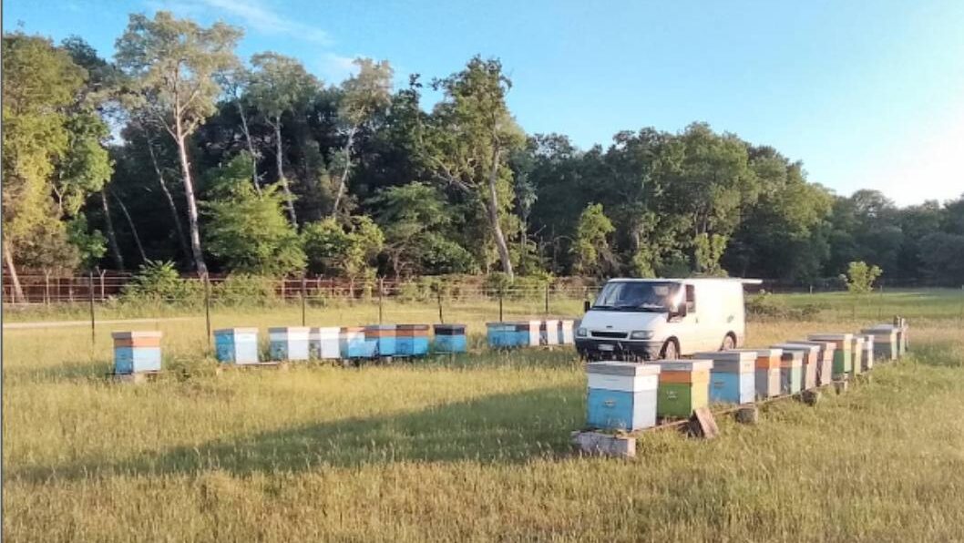 Installare gli apiari in un’area accessibile ai veicoli