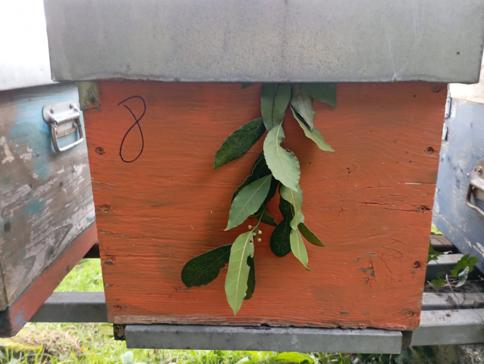 Kennzeichnung von Bienenstöcken, die einer späteren Aufmerksamkeit bedürfen